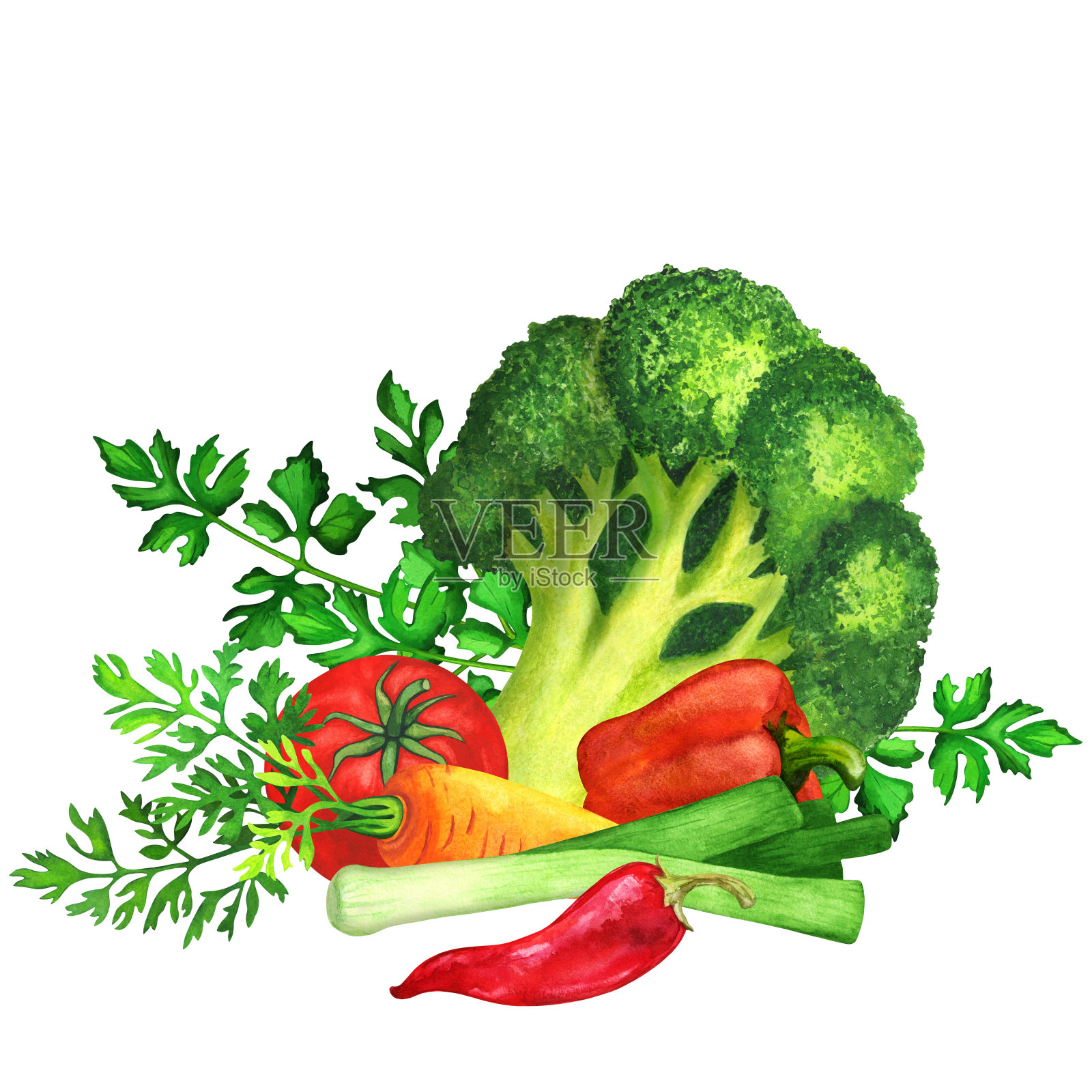 水彩蔬菜，绿叶插画图片素材