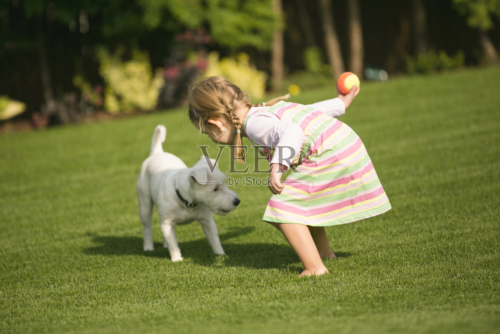 可爱小女孩与狗