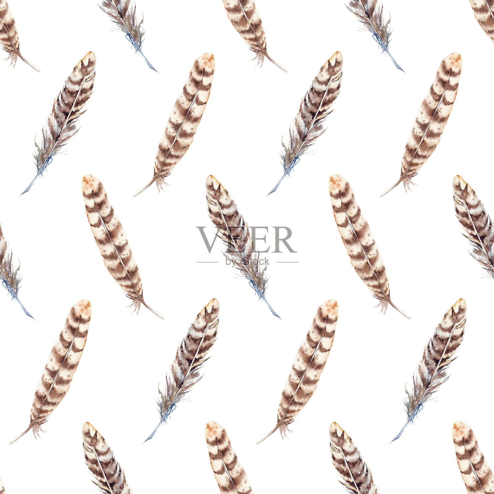 水彩棕米色条纹羽毛无缝图案插画图片素材