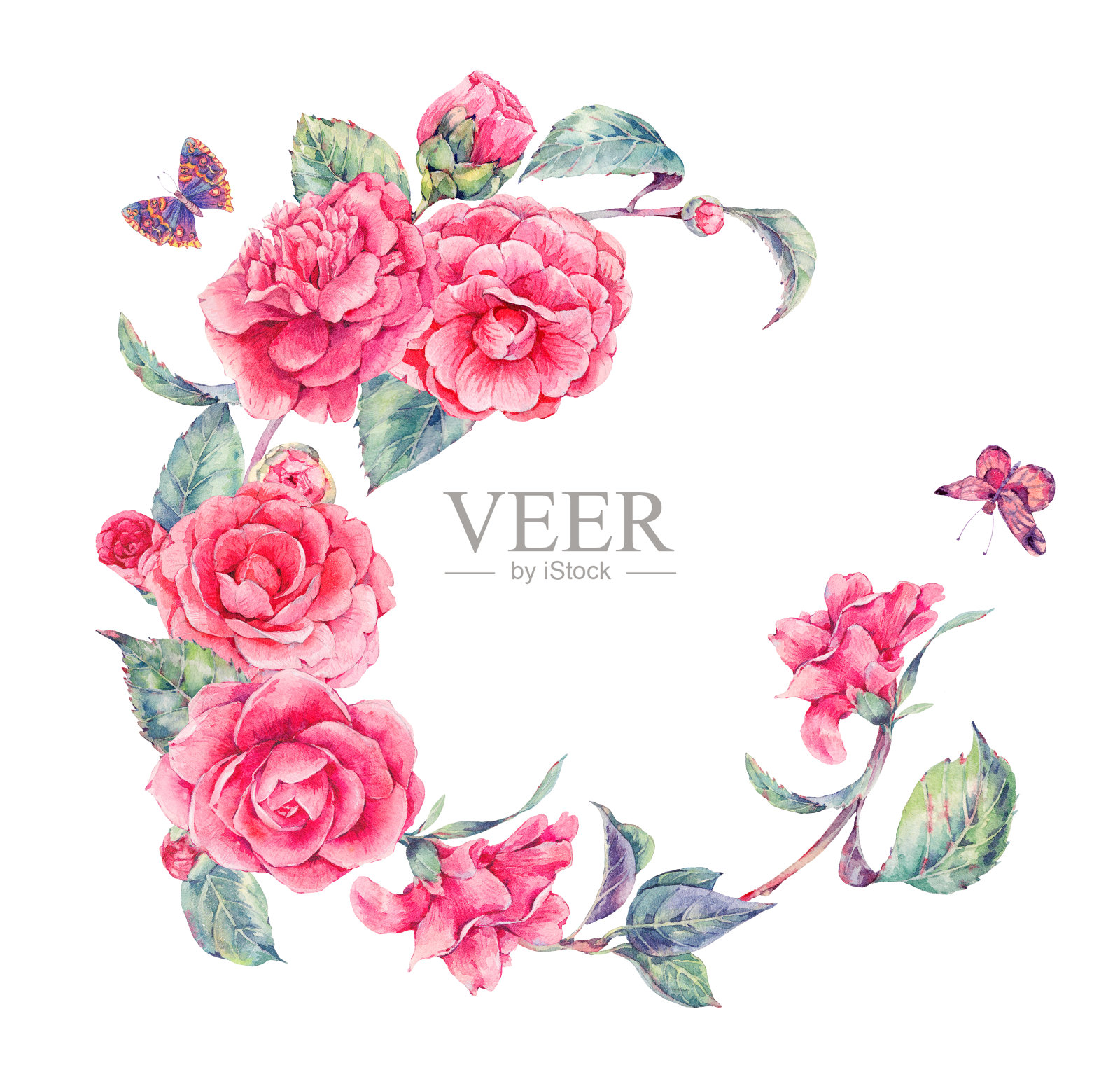 复古水彩花环与粉红色山茶花插画图片素材