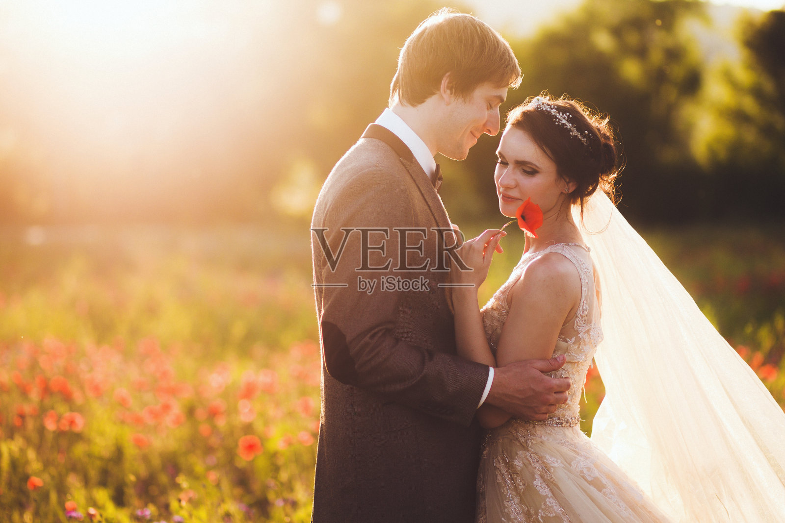 阳光肖像快乐的新娘和新郎户外在自然位置日落。温暖的夏天照片摄影图片
