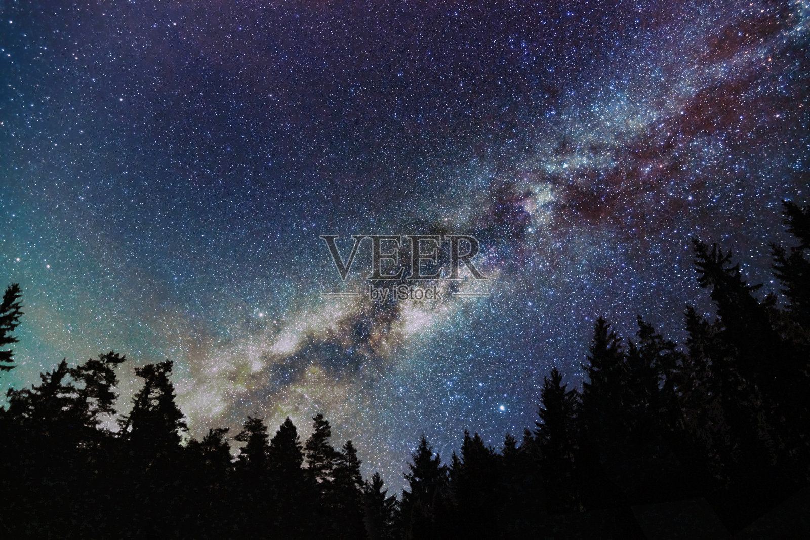 银河银河，繁星满天的树木。星夜。照片摄影图片