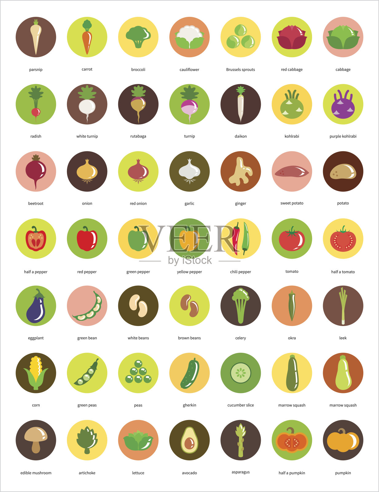蔬菜图标- 49个圆形图标的大集合插画图片素材