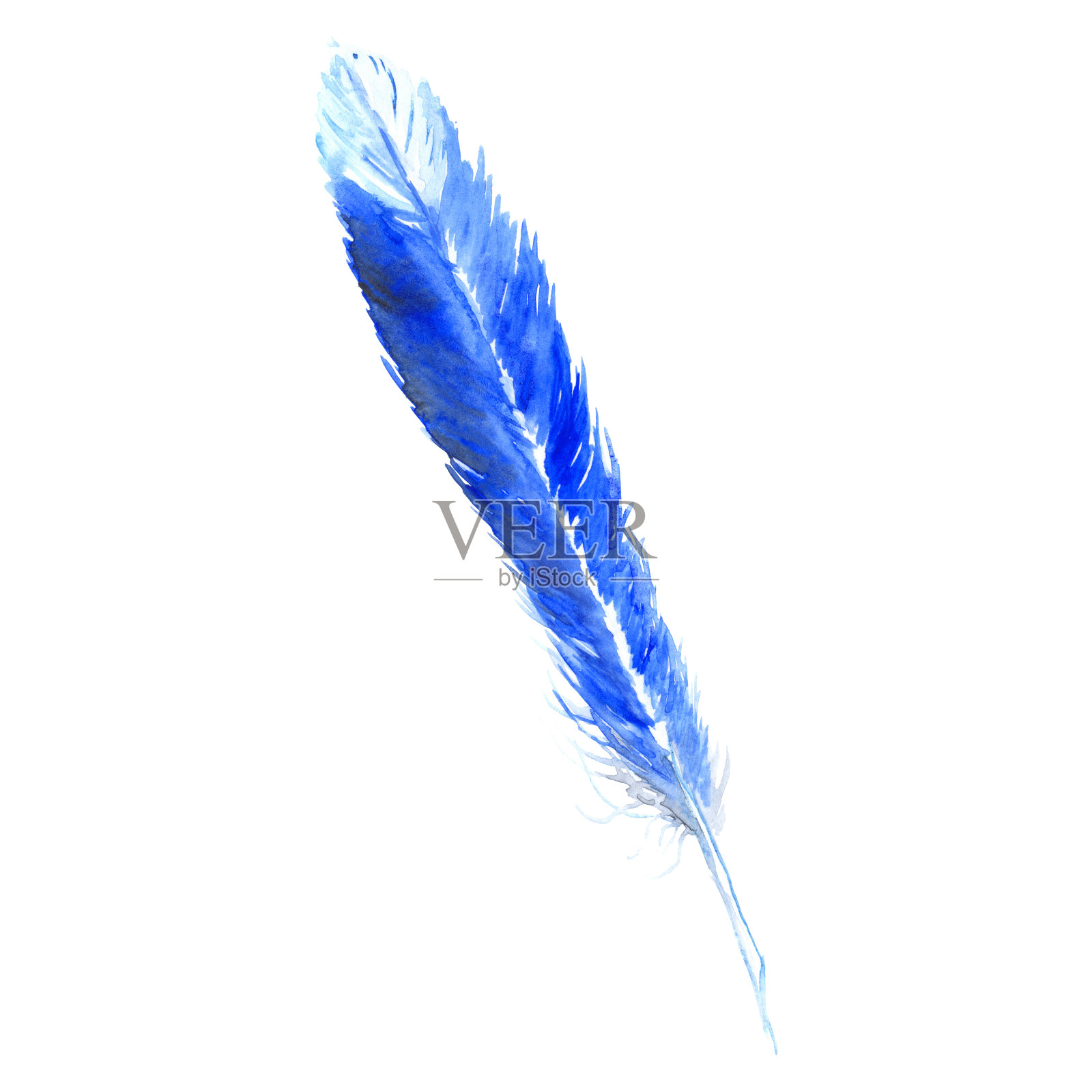 水彩蓝色青色鸟乡村羽毛孤立设计元素图片
