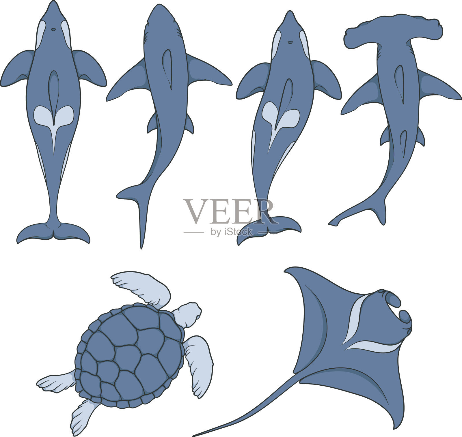 一组海洋动物的图片插画图片素材