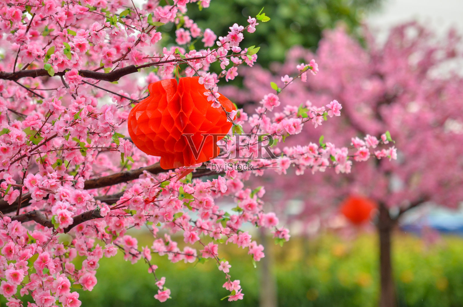 近距离观看塑料粉红色樱花与中国红灯笼和柔软的背景照片摄影图片
