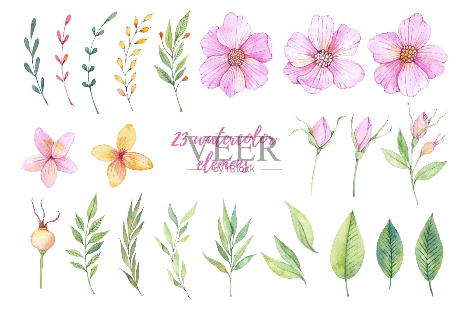 水彩插图。粉红色的花，春天的叶和枝。花的设计元素。完美的婚礼邀请函，贺卡，博客，印刷品，标志和更多插画图片素材
