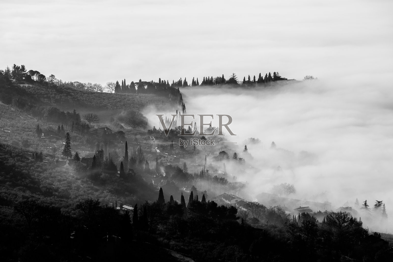 雾气弥漫着山谷和树木照片摄影图片