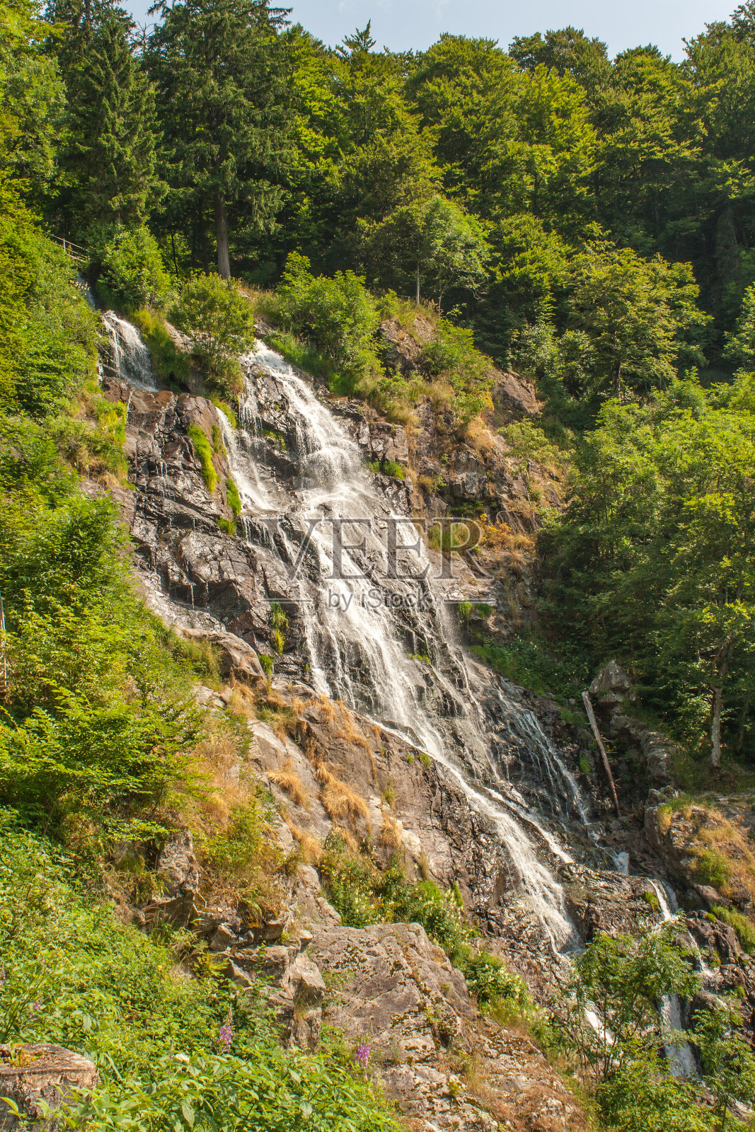 德国黑森林小镇totnau附近的瀑布照片摄影图片