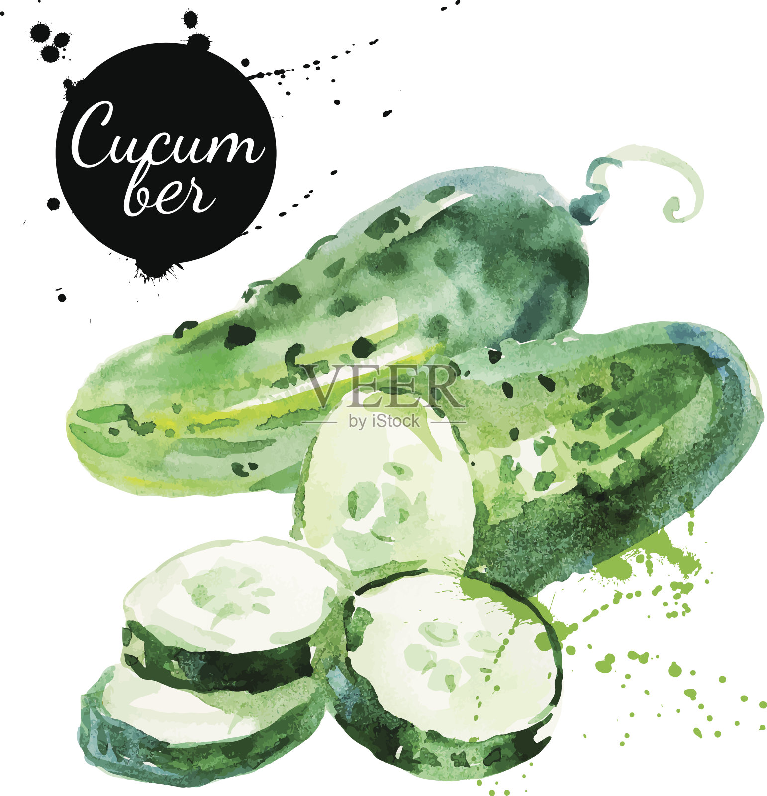 绿色的黄瓜。手绘水彩画在白色的背景插画图片素材