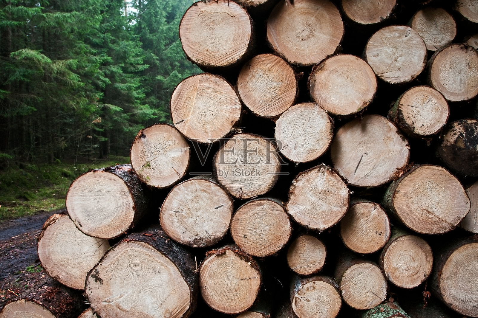 木材的股票照片摄影图片