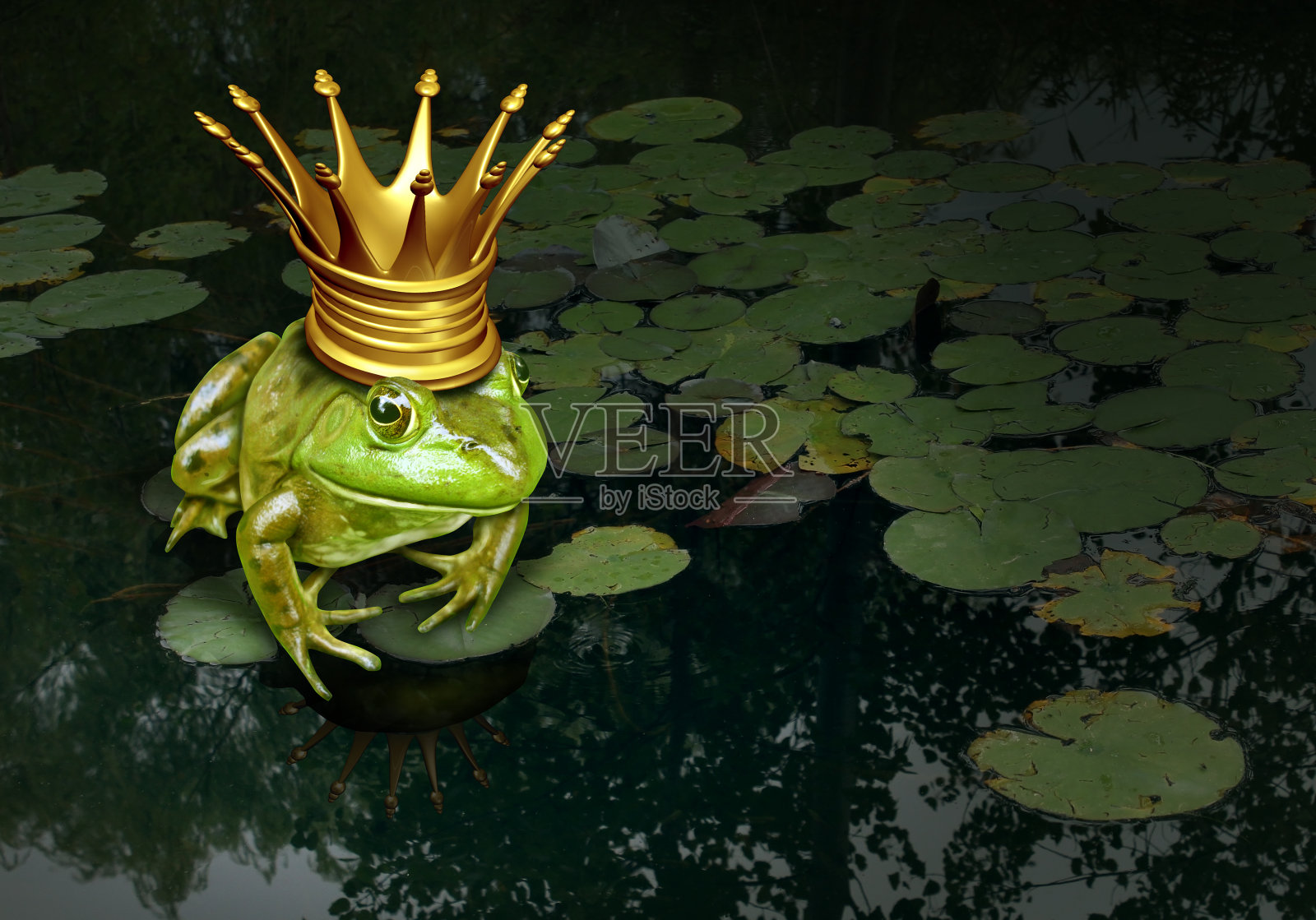 青蛙王子的概念照片摄影图片