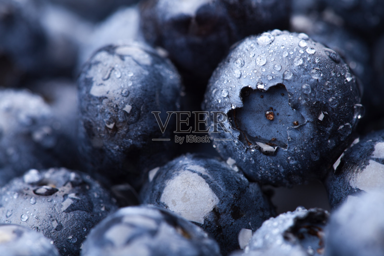 湿鲜蓝莓背景照片摄影图片