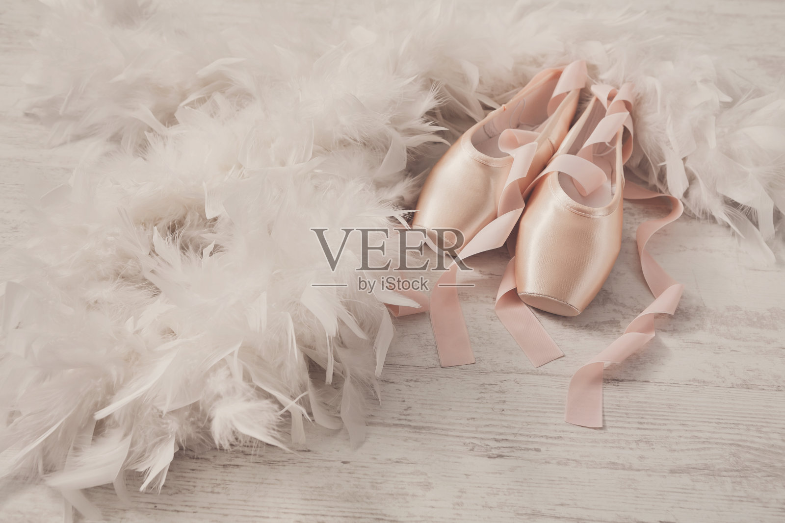粉色芭蕾舞尖头鞋和羽毛在白色的木材背景照片摄影图片