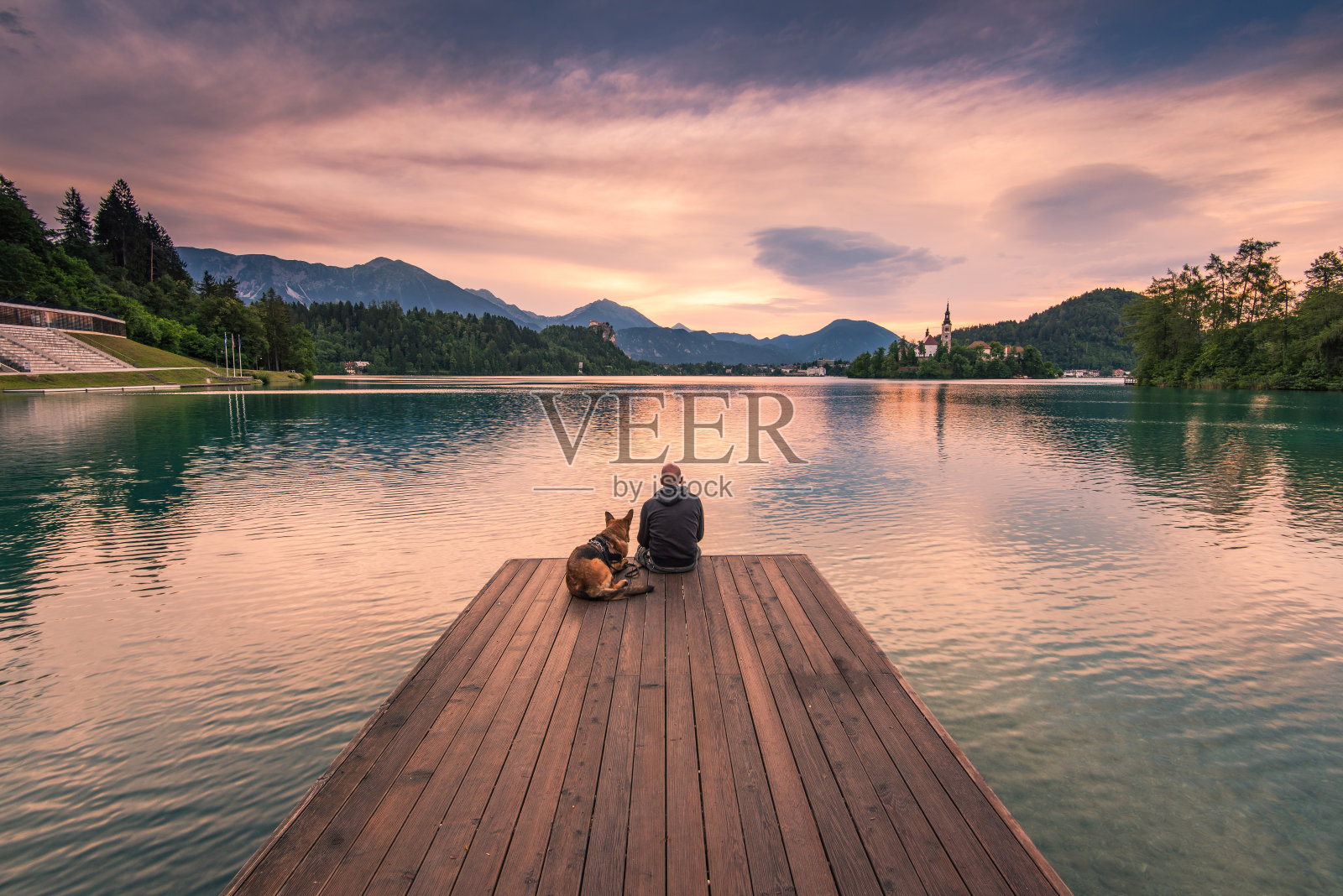 斯洛文尼亚，一名男子和一只狗坐在布莱德湖的木制甲板上照片摄影图片