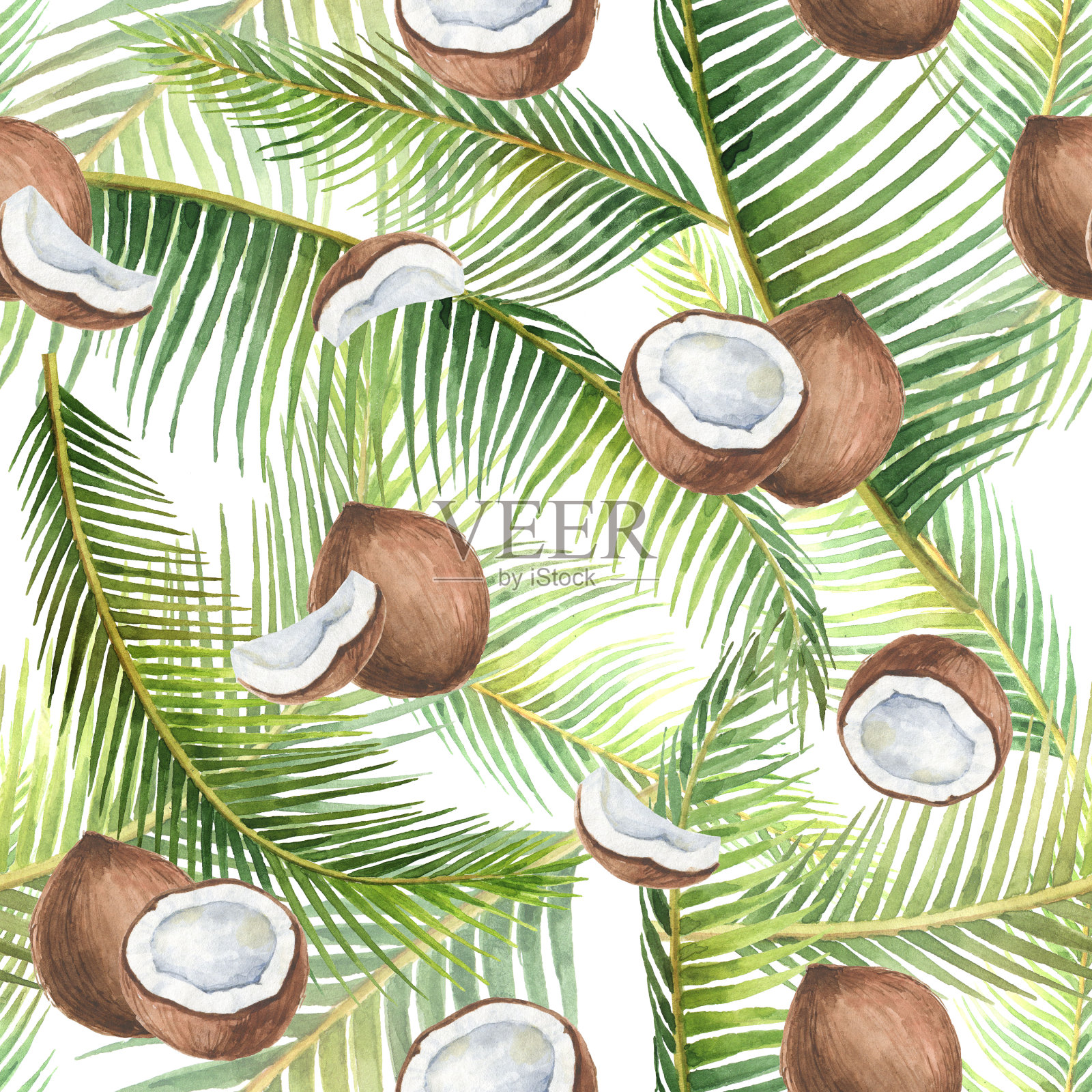 水彩无缝模式与热带绿叶和椰子孤立在白色的背景。插画图片素材