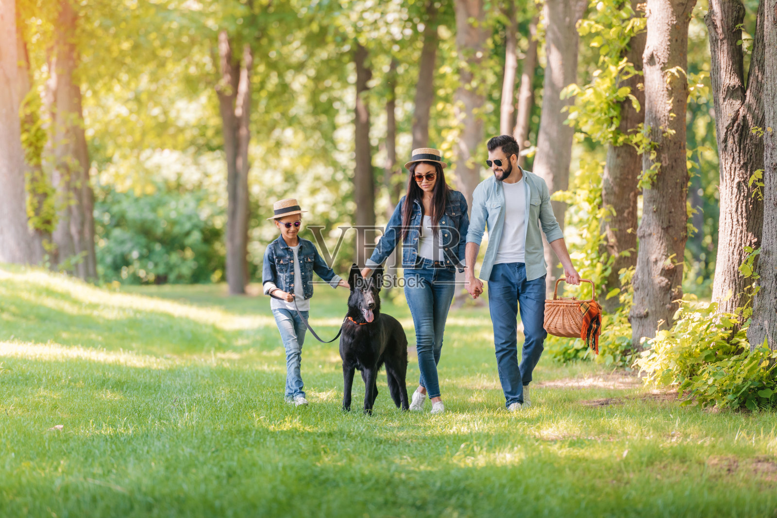 年轻的跨种族家庭与狗牵着手，走在阳光明媚的森林照片摄影图片