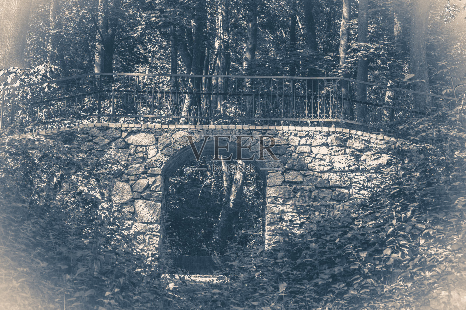 老旧的照片。桥头石阳光日影公园森林照片摄影图片