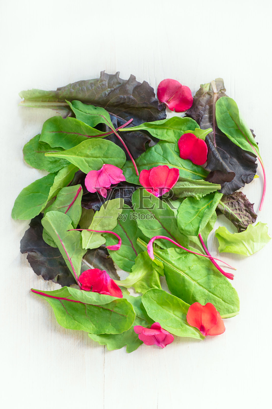 背景以不同种类的生菜、甜菜叶和花瓣为白色照片摄影图片