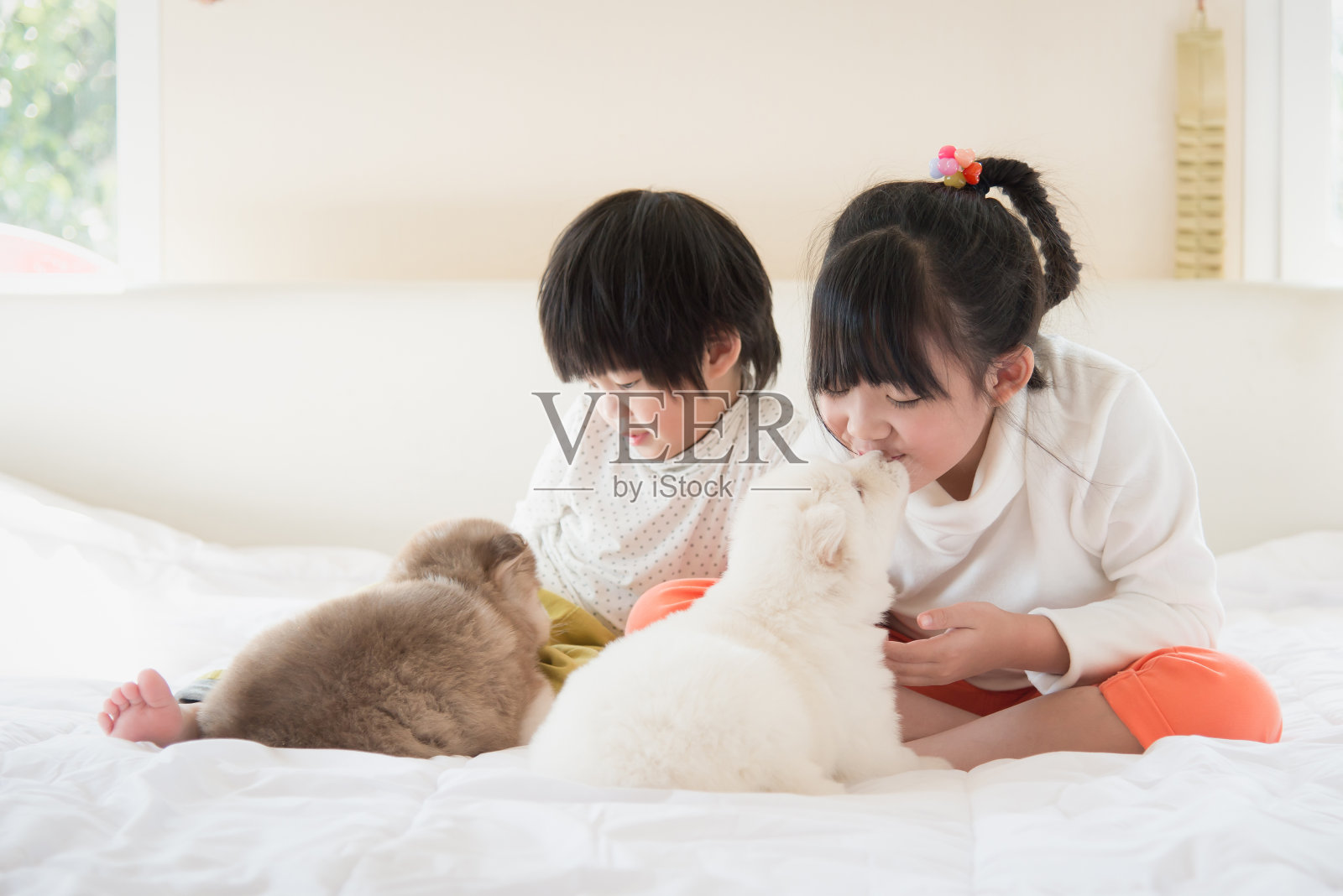 亚洲孩子在白色的床上亲吻小狗照片摄影图片