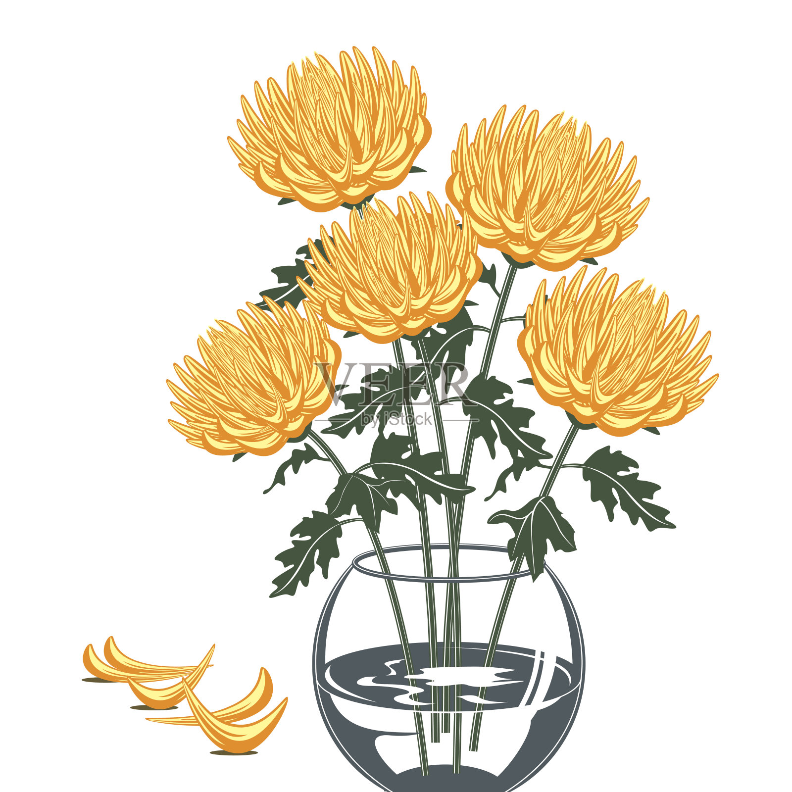 玻璃花瓶里的黄色菊花插图插画图片素材