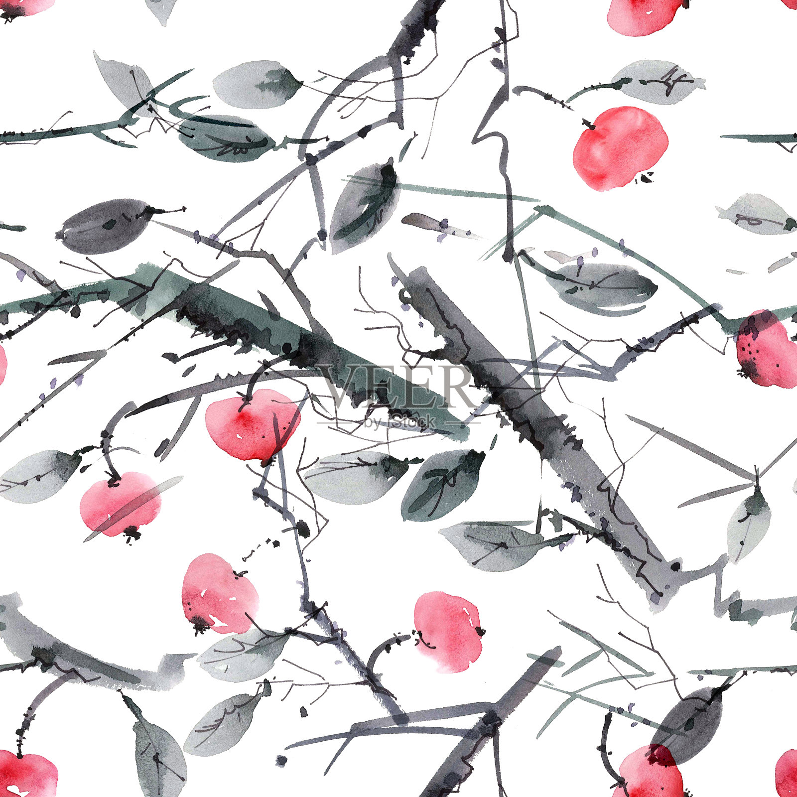浆果樱桃树插画图片素材