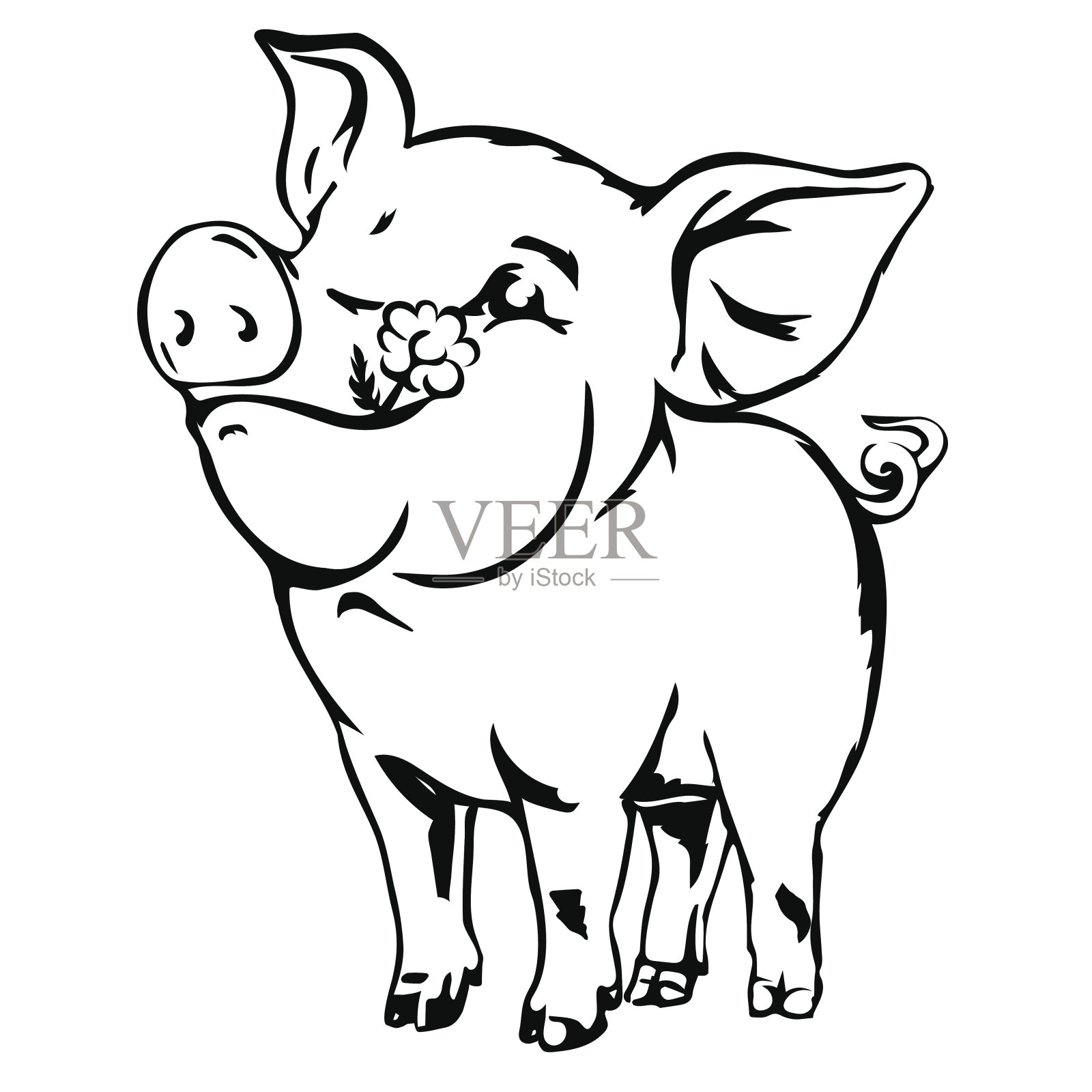 快乐的脏猪矢量素描。插画图片素材