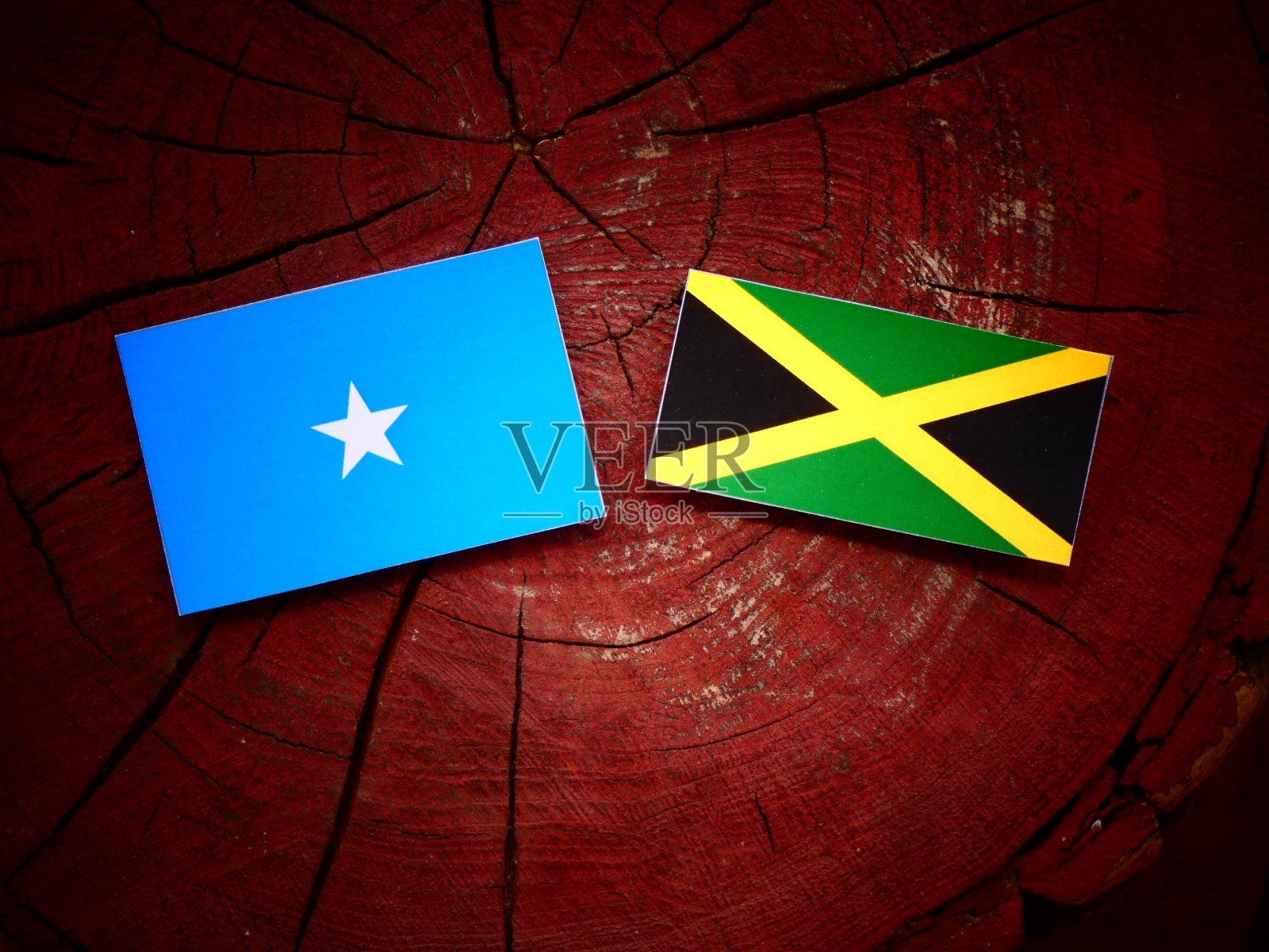 孤立的树桩上悬挂着索马里国旗和牙买加国旗照片摄影图片