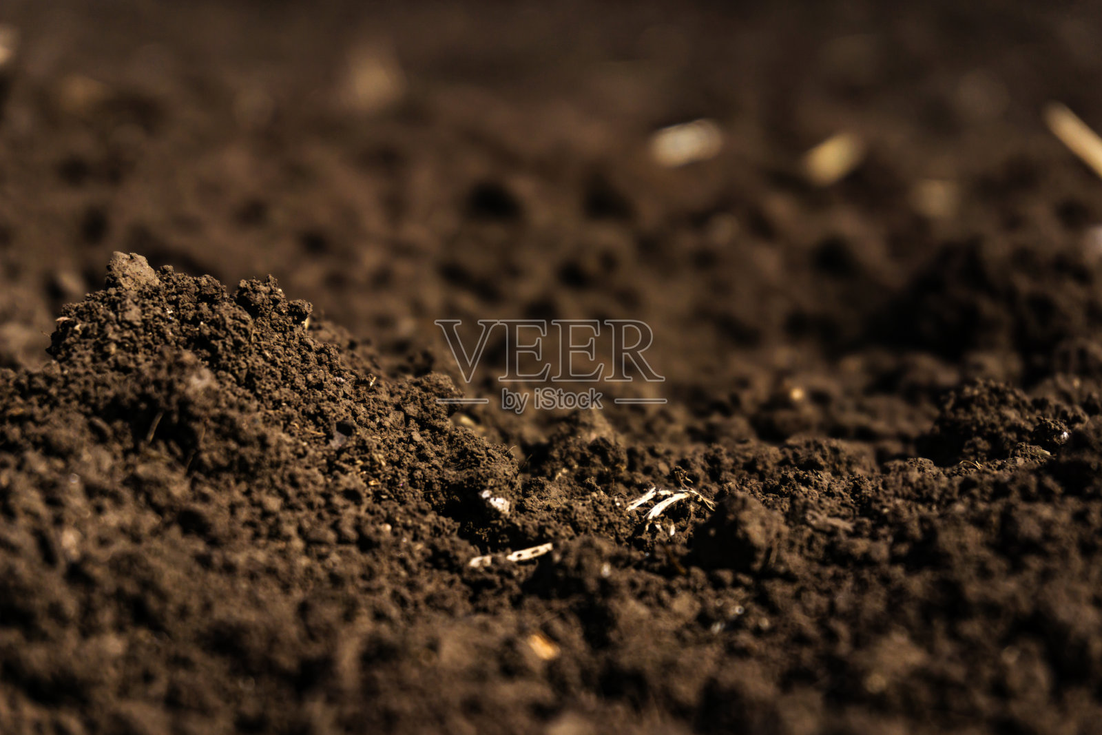 农田的特写，肥沃的黑土。照片摄影图片