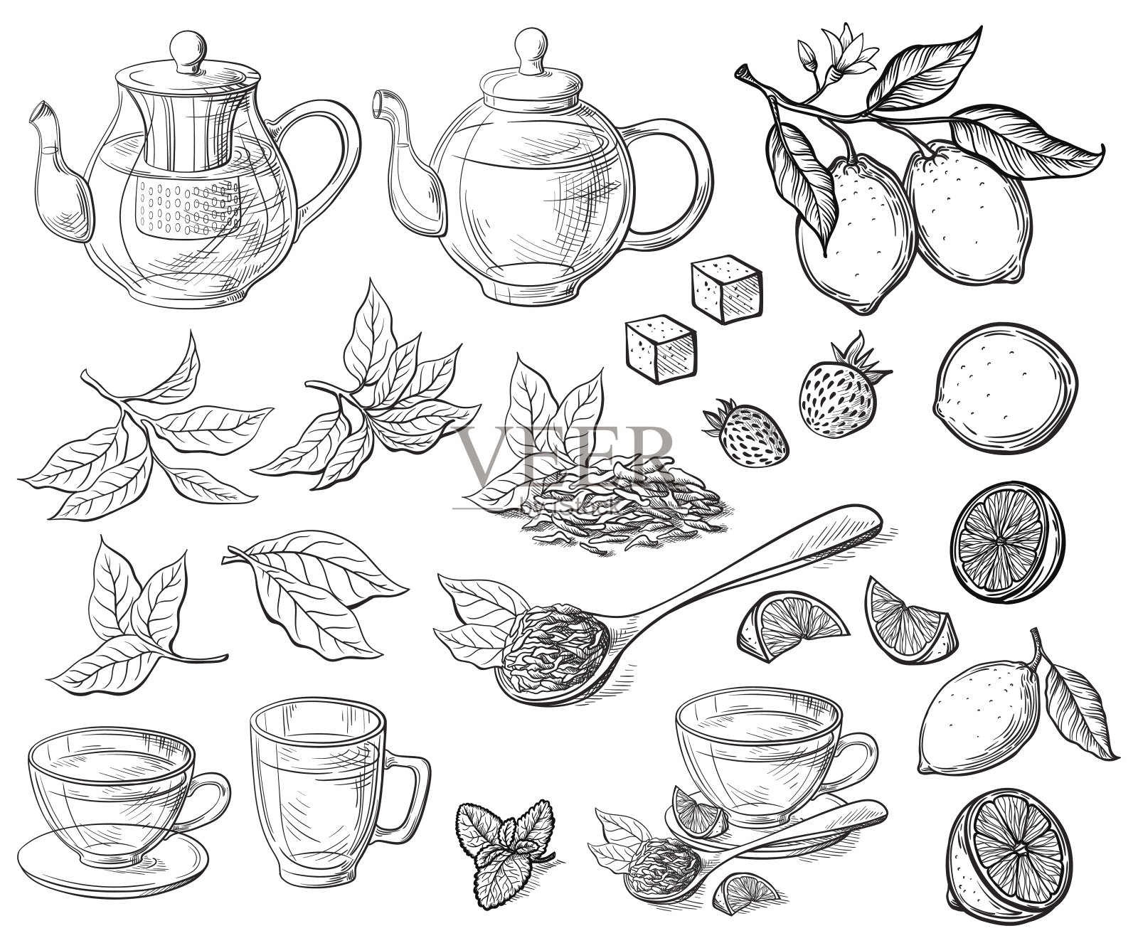 收集茶叶插画图片素材