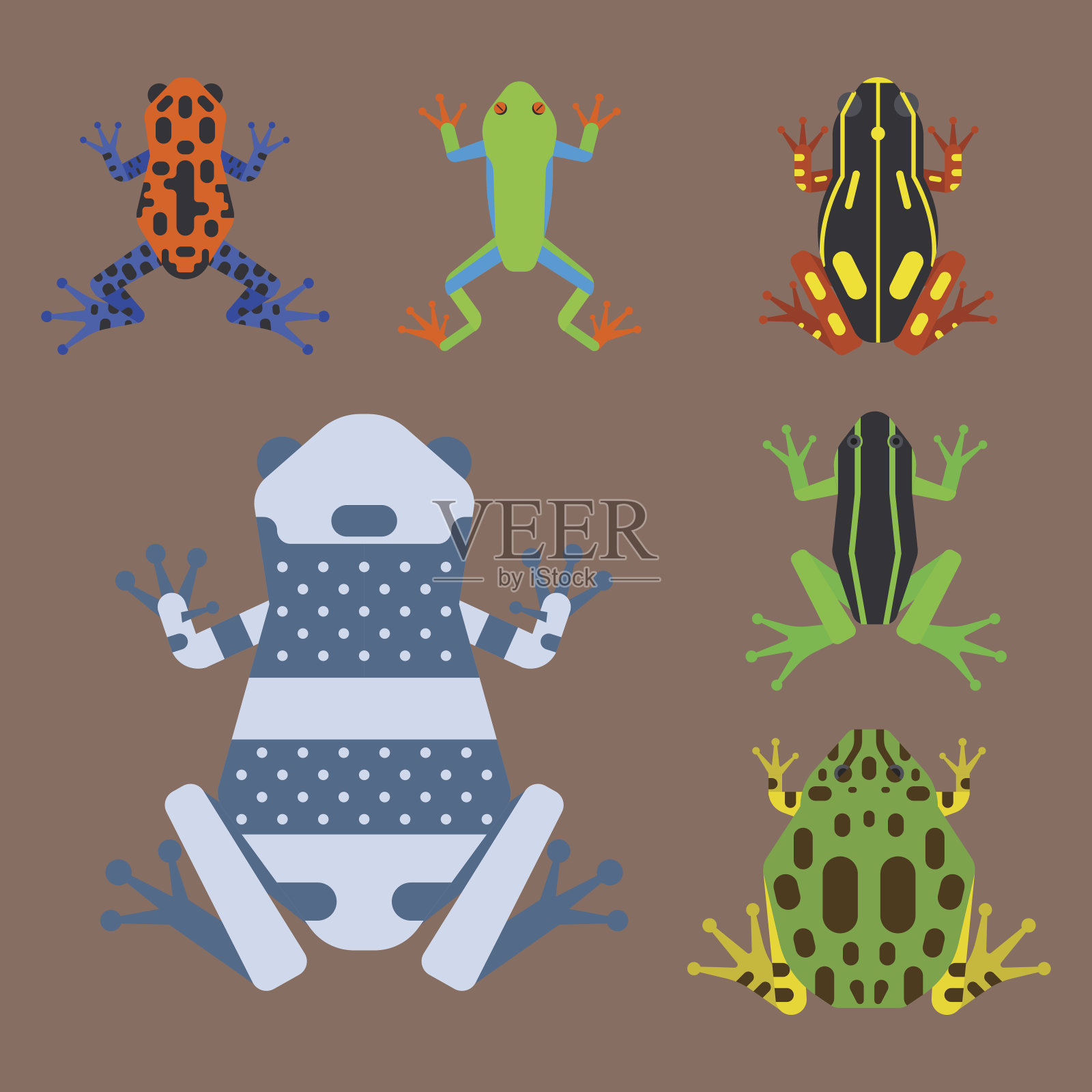 青蛙卡通热带动物卡通两栖动物吉祥物人物野生矢量插图设计元素图片