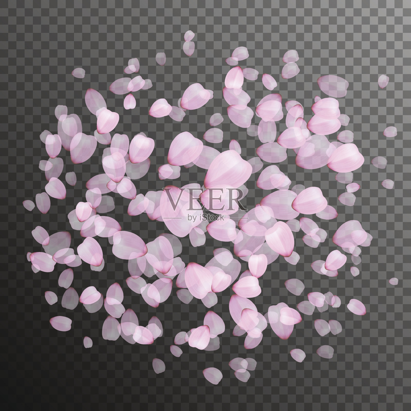 粉红色的樱花花瓣插画图片素材