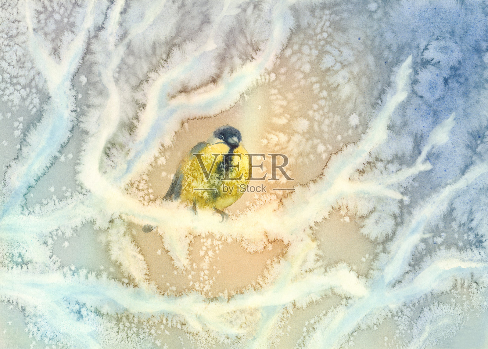 山雀和霜树冬季水彩画插画图片素材