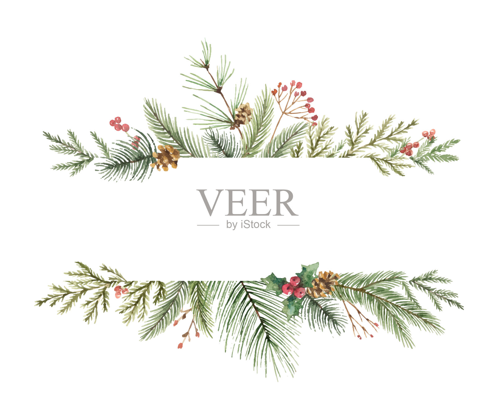 水彩向量圣诞旗帜与冷杉树枝和文字的地方。插画图片素材