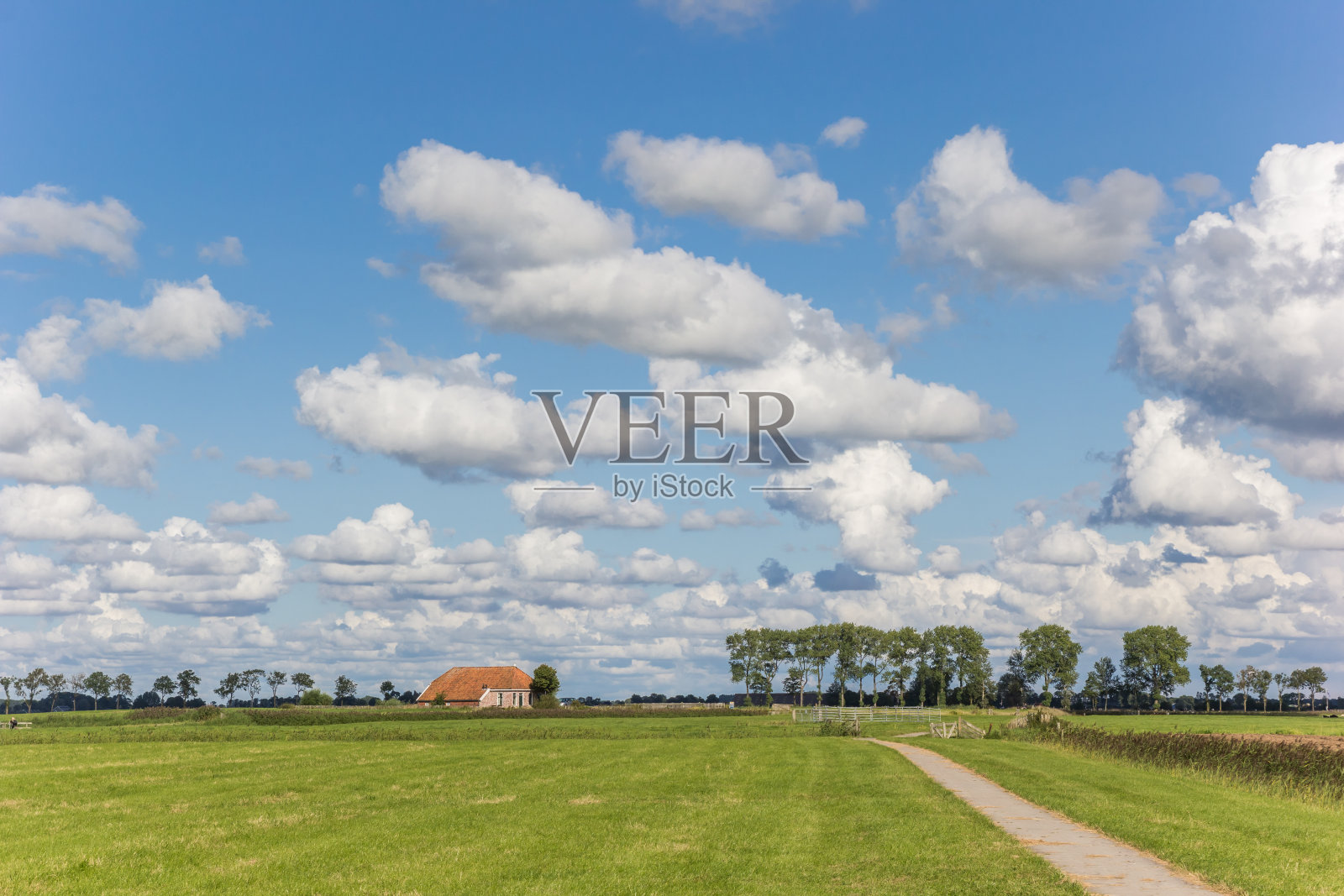 荷兰格罗宁根附近一个荷兰风景中的小农场照片摄影图片