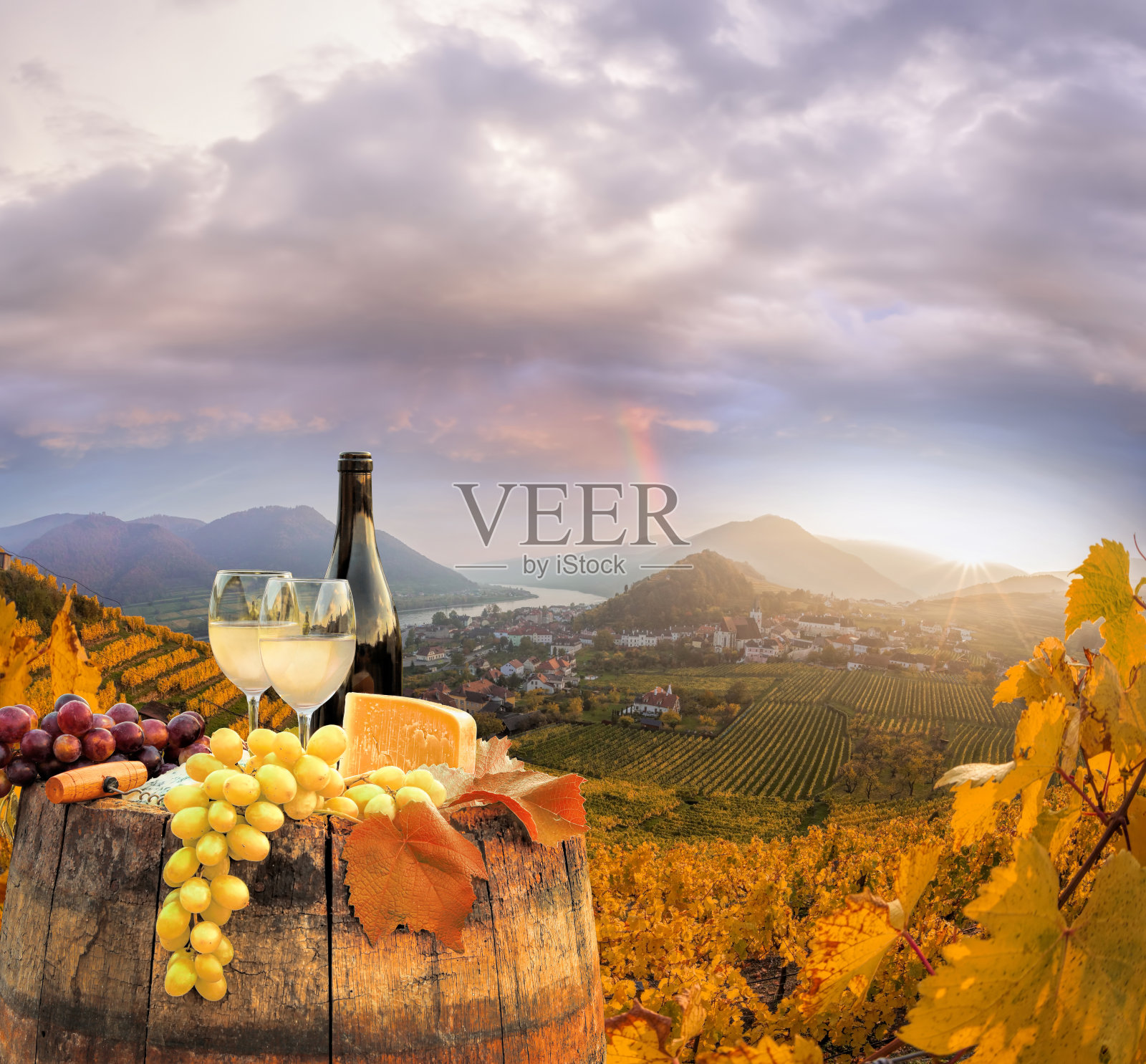 奥地利斯皮茨瓦肖著名葡萄园的白葡萄酒照片摄影图片