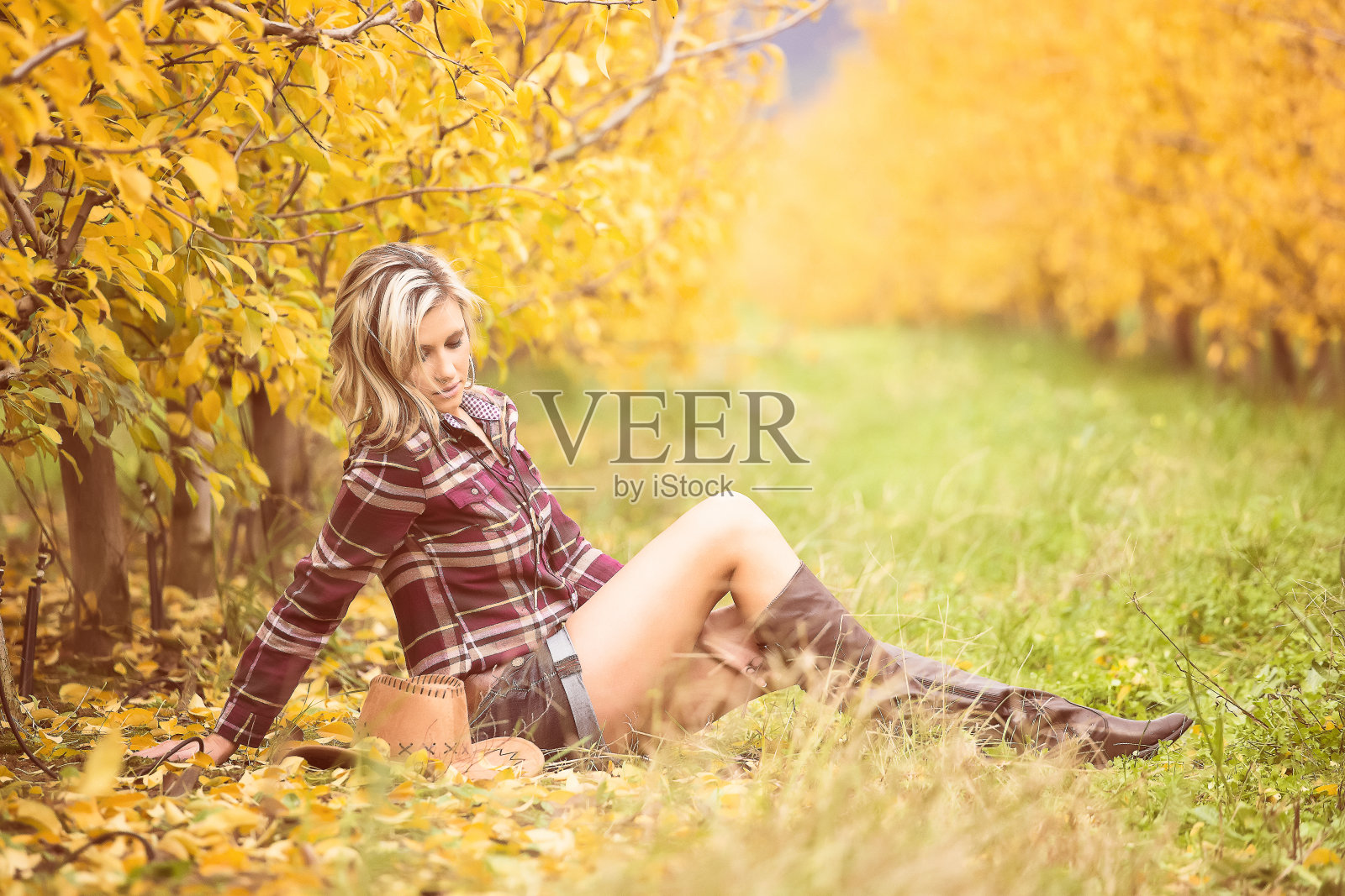 性感的金发农场女孩站/走/坐在一个果园里，这是在南非的一个农场的秋天的颜色照片摄影图片