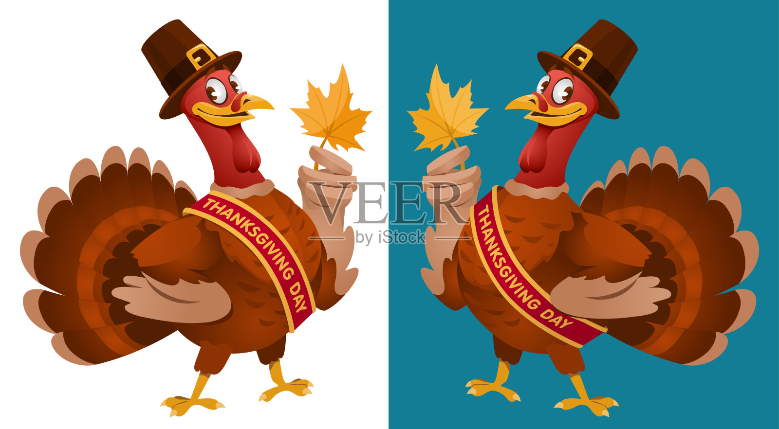 感恩节。滑稽的卡通火鸡戴着朝圣帽，保留着秋叶。矢量插图。在黑暗的背景和孤立的白色。元素分组。插画图片素材