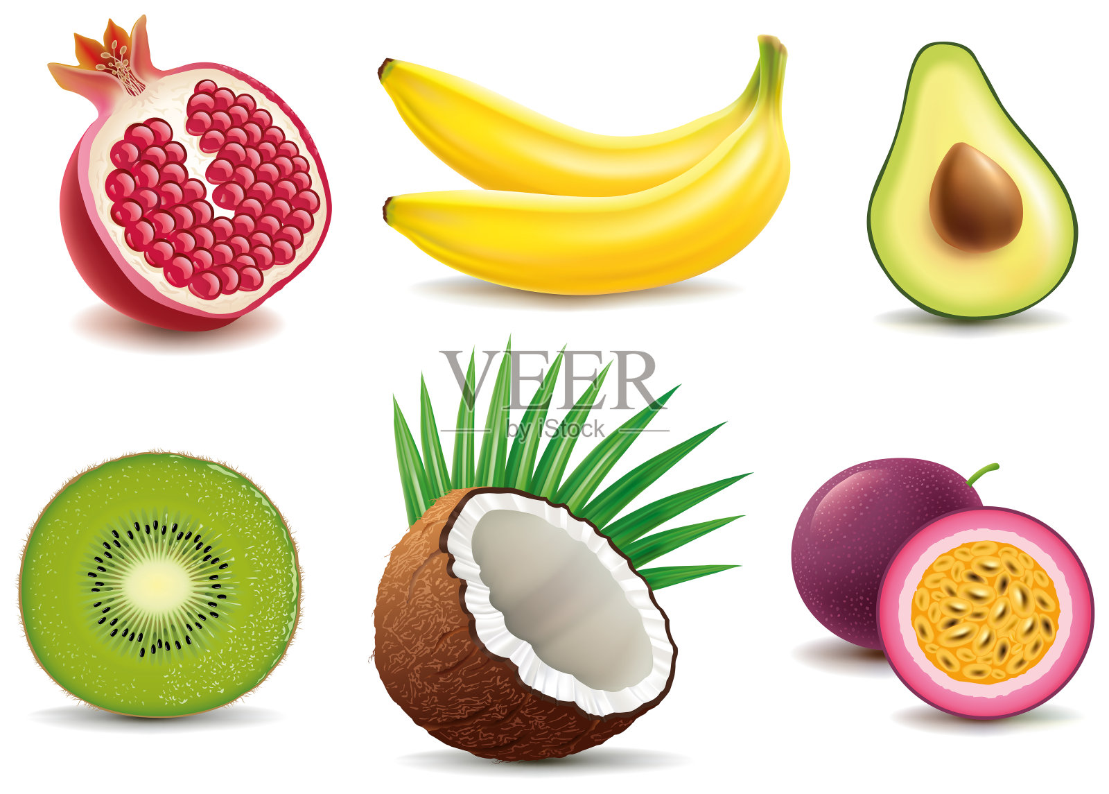 奇异水果-香蕉，石榴，椰子，猕猴桃，百香果插画图片素材