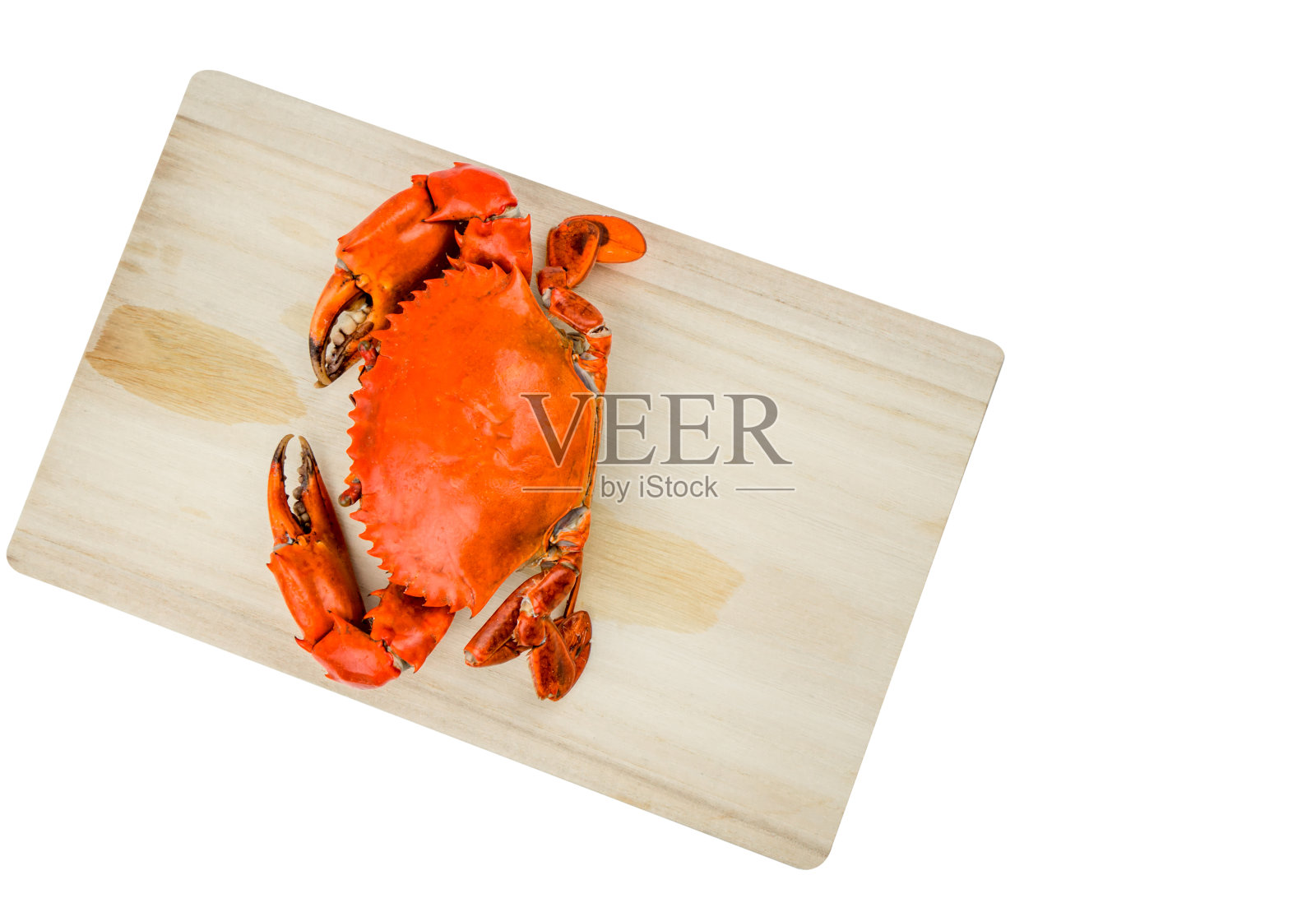 锯齿状锡拉的俯视图。一个蒸蟹在木切板上孤立的白色背景与复制空间。海鲜餐厅的概念。照片摄影图片