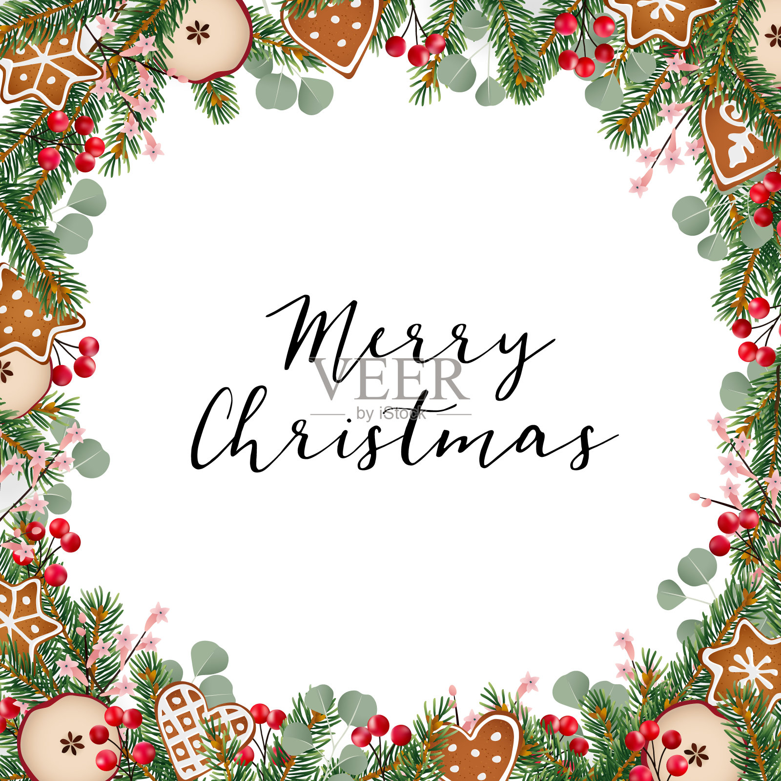 圣诞贺卡，邀请与圣诞花环由冷杉树和桉树枝，冬青浆果和姜饼饼干在白色的背景。孤立矢量插图，网页横幅设计模板素材