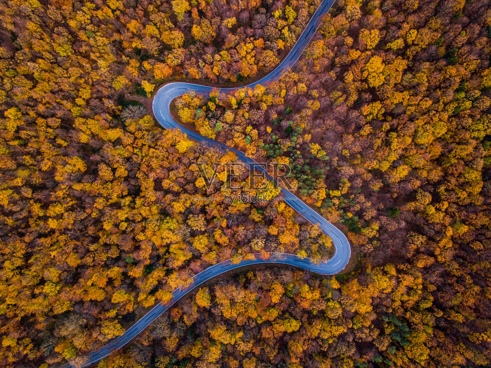 无人机:空中公路旅行-秋天的森林与弯曲的道路照片摄影图片