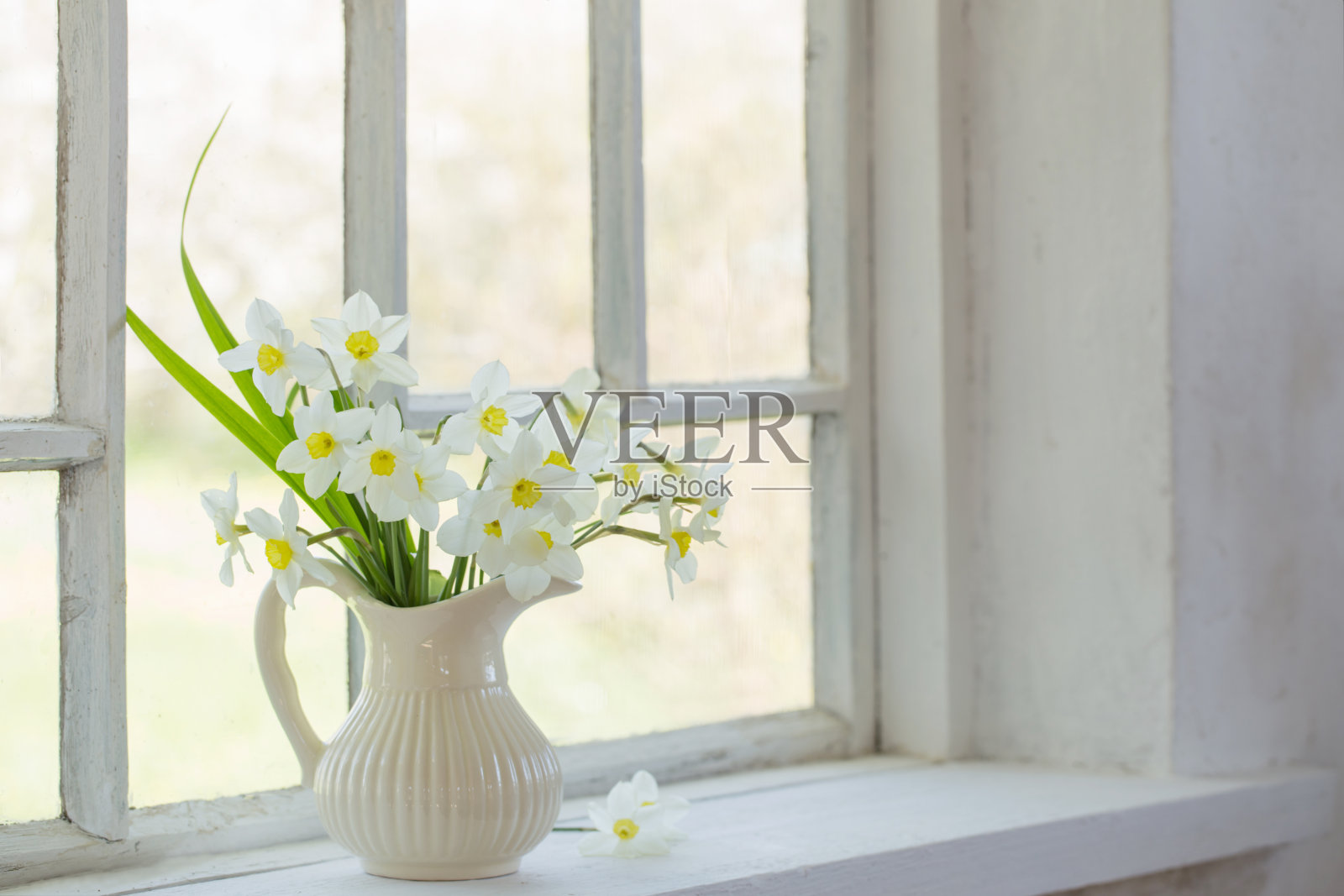 窗台上水壶里的水仙花照片摄影图片