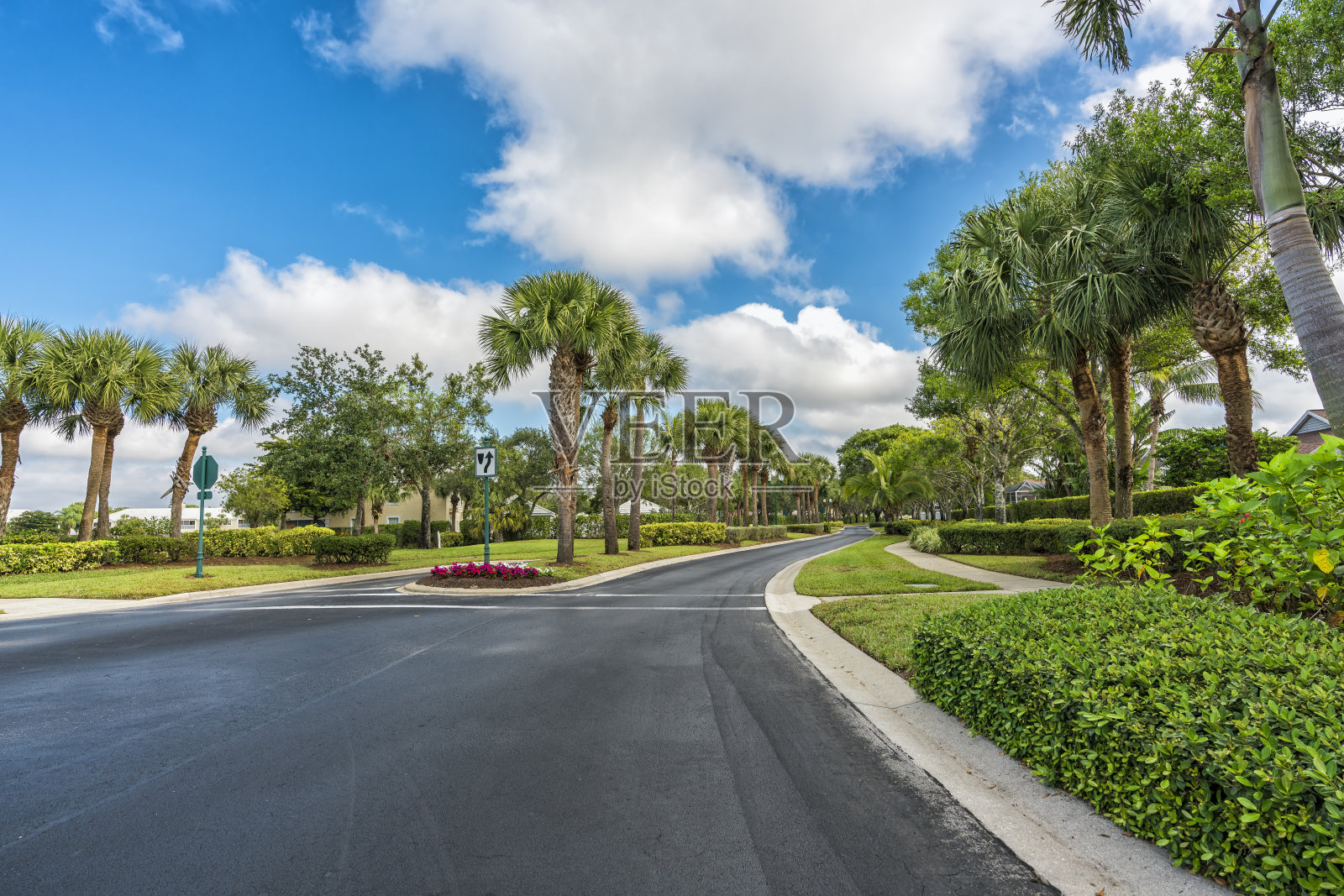 佛罗里达州南部的社区道路，棕榈树环绕照片摄影图片