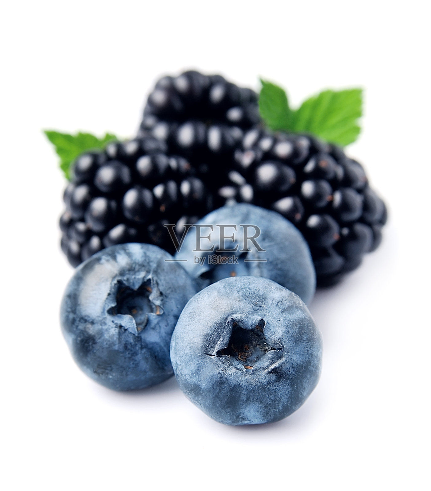 成熟的黑莓和蓝莓。照片摄影图片