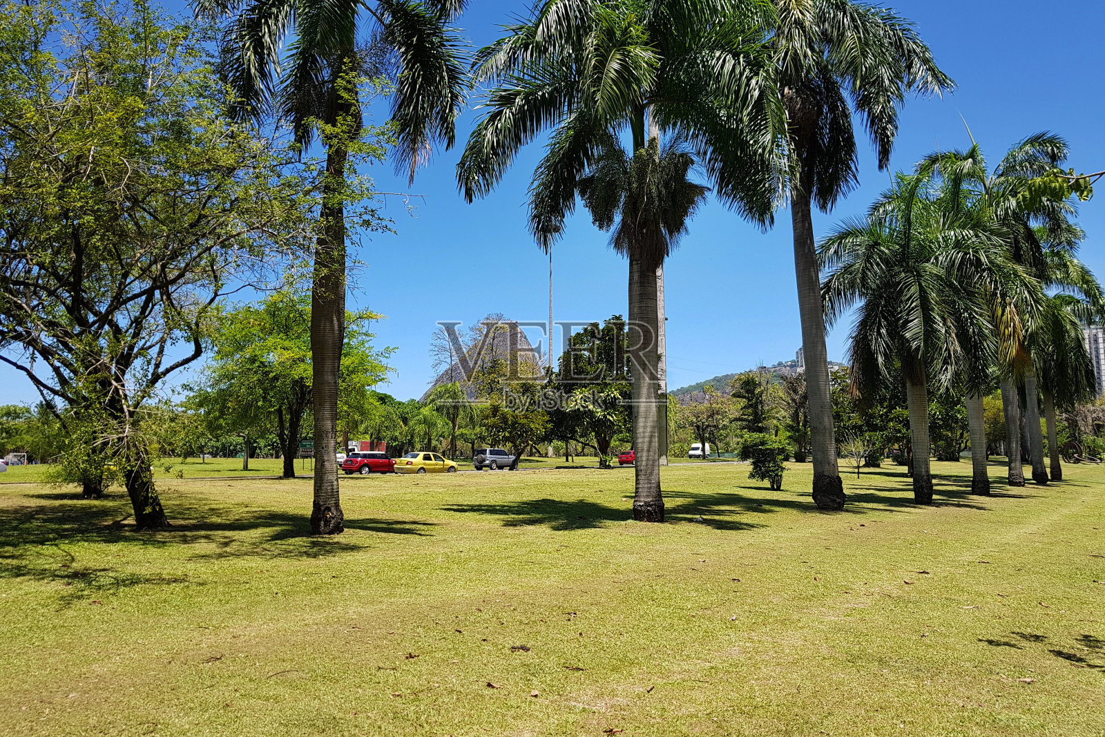 里约热内卢里约热内卢的弗拉门戈公园照片摄影图片