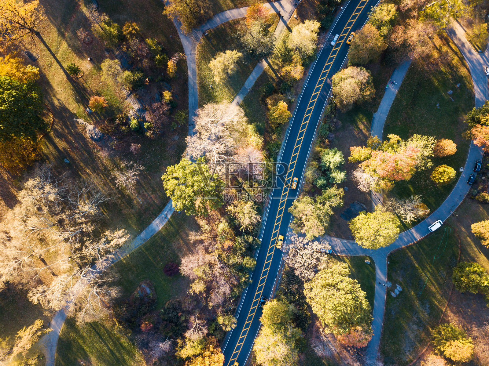 秋季中央公园道路鸟瞰图照片摄影图片