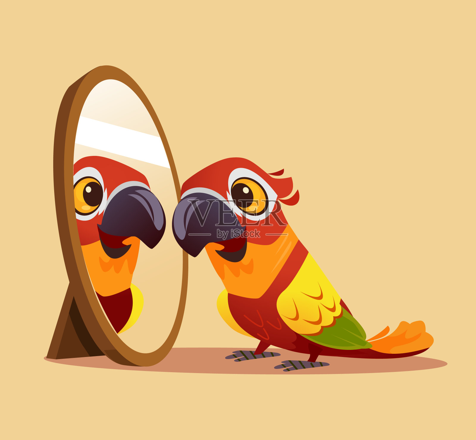 惊讶好奇的鹦鹉性格看着镜子插画图片素材