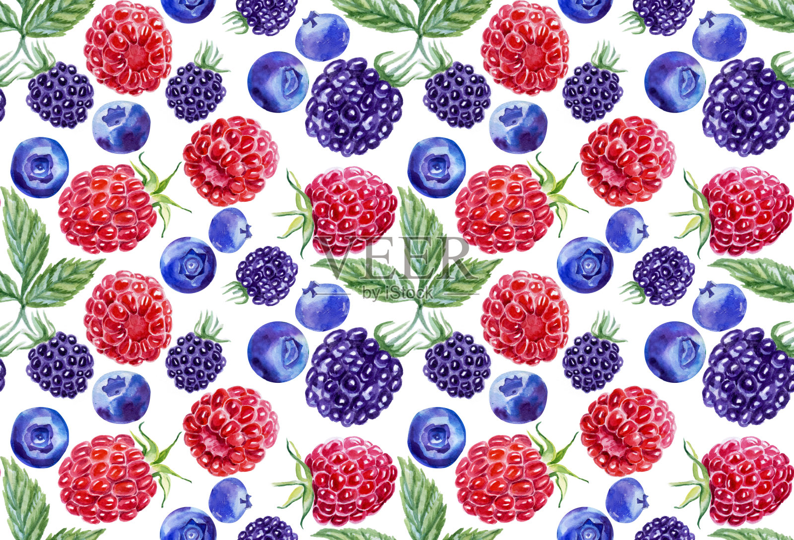 无缝模式的蓝莓，覆盆子，黑莓。植物水彩插图。用于包装，明信片，布料。插画图片素材
