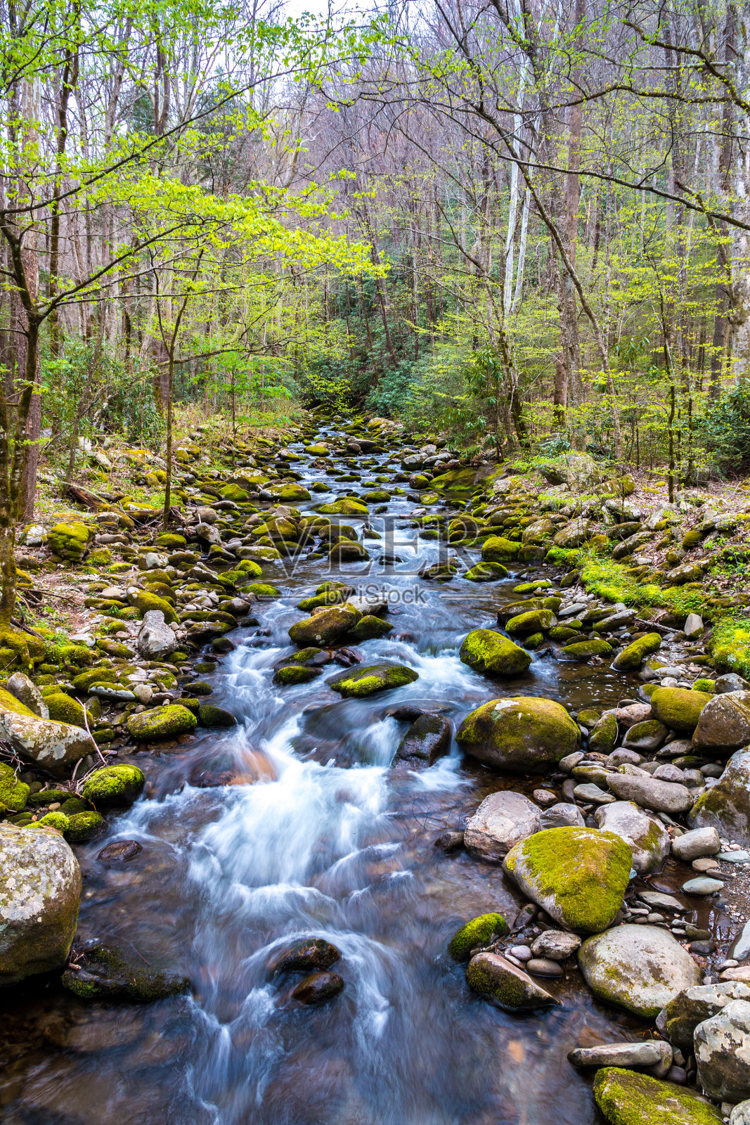 森林的小溪。在大烟山国家公园，水从岩石上倾泻而下。照片摄影图片